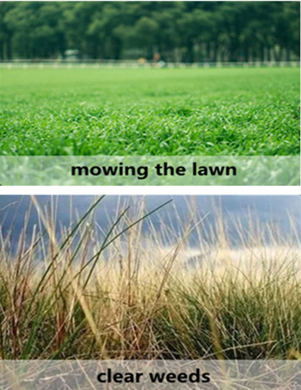 LawnSmart™ Rasenmäher mit Fernsteuerung
